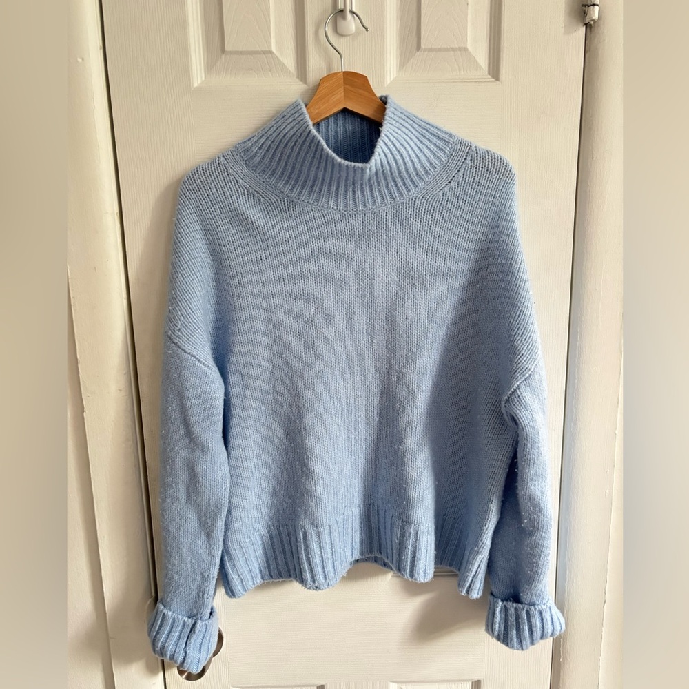 Everlane Cloud Oversized Turtleneck